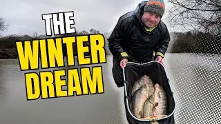 Should Have Won! | Live Match Fishing