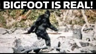 Is Bigfoot Real? Yes or No? A Complete Documentary