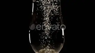 Champagne Bubbles | Stock Footage - Envato elements
