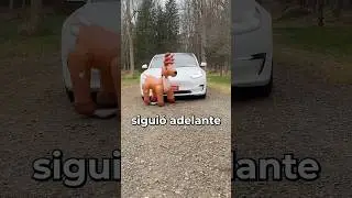 Se detendrá realmente un Tesla por una persona?