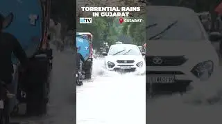 Severe Rainfall Hits Gujarat; IMD Issues Red Alert Across Multiple Districts