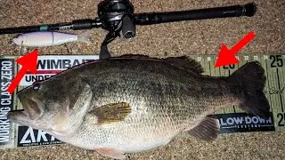 Why Does This Japanese Technique Catch GIANT Bass At Night In The Winter?