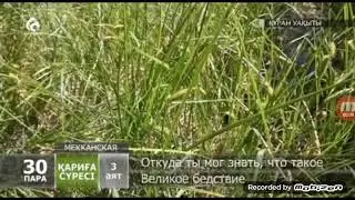 Қариға Сүресі ~ Сура Аль Кариа