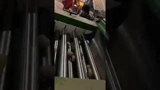 Запуск линии сортировки и упаковки картофеля на предприятии АО "Емельяновка