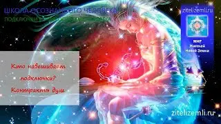 3. Кто навешивает подключки? Контракты душ. Информация для «просветлённых»