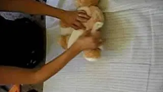Muslin nappy on teddy