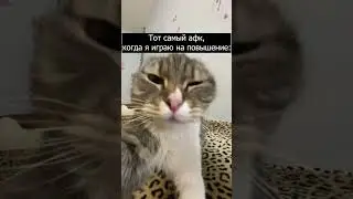 И так каждый раз 