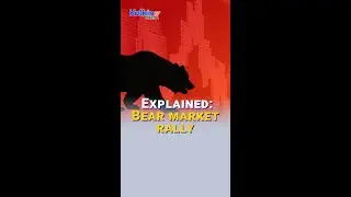 Explained : Bear market rally