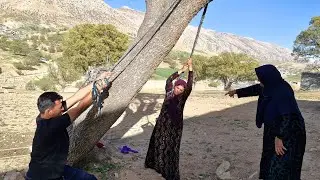 سبز: The support of an adopted son to his stepmother.