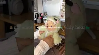🧸 my emotional support teddy bear 