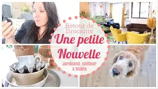 Vlog - Une petite nouvelle - retour de brocante - coiffeur, balade & blabla