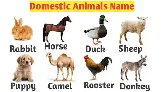 20+ Domestic Animals Name | Pet animals | Farm Animals |  English for kid | #tranding #viral