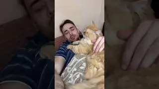 Вот почему нельзя спать с кошкой