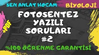 FOTOSENTEZ YAZILI SORULARI 2  | FOTOSENTEZ YAZILI HAZIRLIK ÇALIŞMASI  | +PDF ✅