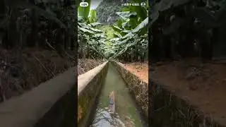 Use this perspective to see the world is different