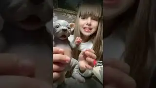 распаковка силиконовой собачки 