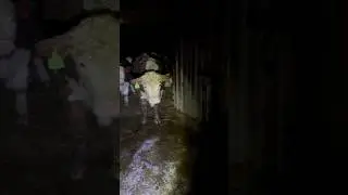 Хозяюшка 😱блин 