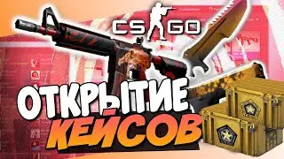 ОТКРЫТИЕ ГАММА И ГАММА2 КЕЙСОВ В CSGO | ВЫПАЛ НООООЖ!!!???НОВАЯ ОПЕРАЦИЯ В CSGO