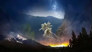 ТИРОЛЬСКИЙ ЙОДЛЬ
