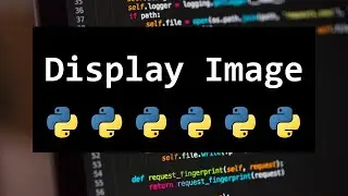 HOW TO DISPLAY AN IMAGE FOR BEGINNERS IN PYTHON 💻