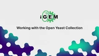 Modeling for SynBio: from ODEs to Gene expression
