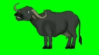 cow talk in green screen / talking cow ox / green screen cow no cofyright / Brainmaster