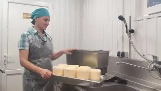 Про Копчение мяса и сыра / Сыры Паста Филата (Pasta Filata) / Если заготовка на моцареллу перекисла?