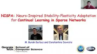 NISPA: Neuro-Inspired Stability-Plasticity Adaptation for Continual Learning in Sparse Networks