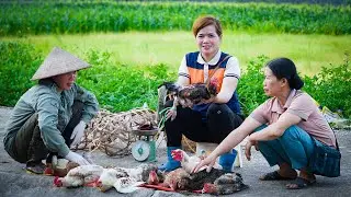Harvesting Chickens , Spring Crop Care Go to Market to Sell - Building a Bathhouse Free New Life