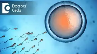 How many follicles do you need for IUI? - Dr. Ashwini S G