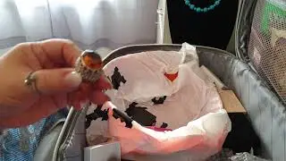 ВТОРАЯ ЧАСТЬ.  РАСПАКОВКА ЧЕМОДАНА С СЕРЕБРОМ 🧳💎💍📿💍