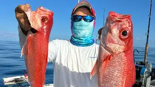 Fishing at 1 thousand feet. Tilefish. Queen snappers