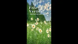 Free Vertical Portrait Videos - Whatsapp Stories - Social Media Stories