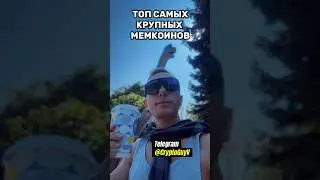 Топ Самых Крупных МЕМКОИНОВ 