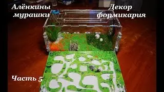 Муравьиная ферма 