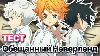 Обещанный Неверленд Тест (Promised Neverland Quiz)