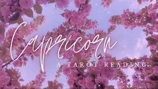 CAPRICORN ♑ 