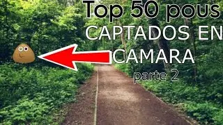 Top 50 Pous CAPTADOS en cámara [parte 2]