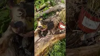 Декор участка