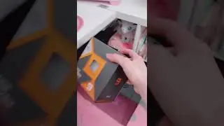 CINNAMOROLL INSPIRED GAMING PC PROJECT!! ☆ (kawaii pc build/sanrio desk setup ♡)