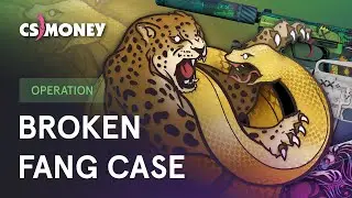 BROKEN FANG CASE | ALL NEW SKINS | CS:GO update OPERATION 2020 cs money