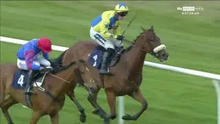 DRAMA! Jockey BANNED for 10 days after mistaking winning post at Worcester 😯