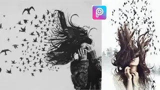 PICSART BIRDS DISPERSION EFFECT EDITING | PICSART BIRDS EFFECT | BIRDS DISPERSION EFFECT PICSART |