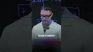 Основная опасность лишнего веса 