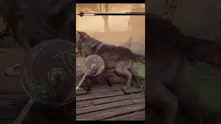Legendary wolf - This wolf is bigger than wolf kissed | AC Valhalla