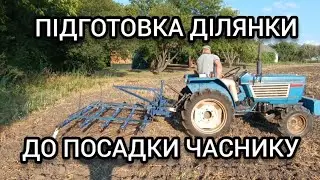 PREPARATION of the site for PLANTING GARLIC