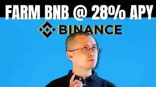 Farm BNB: Unlocking 28% APY Potential