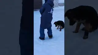 Третий не лишний..)