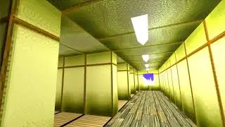 LSD: VR