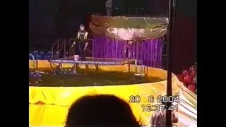 3 (ч) Цирк * КАРИБСКИЕ ДЕЛЬФИНЫ * Тольятти - 2004